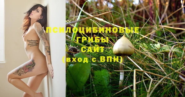 PSILOCYBIN Коряжма