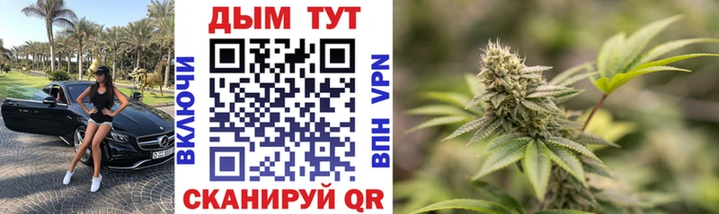 МАРИХУАНА тримм  Купить закладки  Грязи 